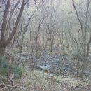 성요셉의집 이미지