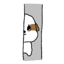 아이봄동물병원 네이버블로그