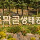 초막골생태공원 이미지