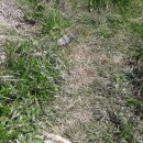 방축소류지 이미지