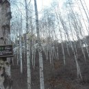 미숭산자연휴양림 이미지