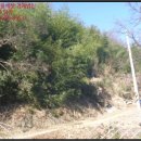 옥천군청성면묘금보건진료소 이미지