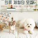 주식회사 밸리스 이미지