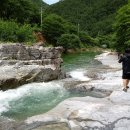 가족민박 이미지