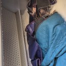 제주 포장이사, 25년 경력 전문가가 강조하는 ‘포장 패드’ 위생 관리의 중요성 이미지