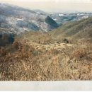 호남창의동맹단 의병 | 호남창의동맹단 지의동(知義洞) 17의사