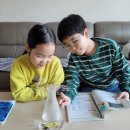 (주)녹스 출판사 | 초등6학년 과학교과연계전집 추천!! 선생님도 놀란 과학뒤집기 (ft. 초등과학실험)