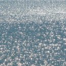 보문호반길 이미지