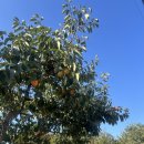 용봉산주차장 - 우 이미지