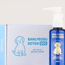 주식회사 시루정보 네이버블로그