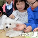 선암축산 이미지