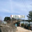 새터길삼거리 | 아침고요수목원근처맛집 항아리 손칼국수 가평애견동반식당 찾으신다면 요기!