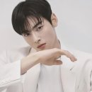 법인사과컴퍼니 | 차은우 1인 기획사 논란 부동산 4500평 매입 "17억 중 8억 법인 대출"