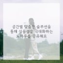 사계절커튼 이미지