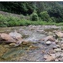 봉화약초민박 이미지