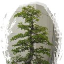 미소빵빵 이미지