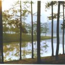 계곡사랑 이미지