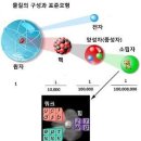 양자생물학에서 거론되는 에너지들 3 - 영점(零點)에너지 이미지