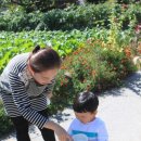 보릿고개 이미지