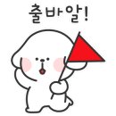 펫홈종합동물병원 이미지