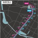 하프하프