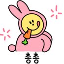 적성사진관 이미지