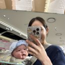 뽑아브러 이미지