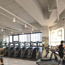 나이스짐 이미지