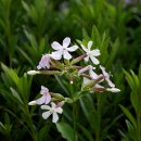 길소아청소년과의원 이미지