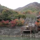 (주)삼성궁