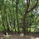 구슬치기 - 서구 도산로 379 | 구슬치기