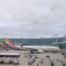 (주)유니온항공여행사 | [싱가포르] 싱가폴 여행 아시아나 직항 후기 기내식 항공권 최저가 팁