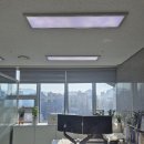 창원 마산 세무사 세무회계 다원 방문 후기
