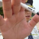 국회의사당 정문 이미지