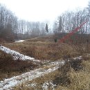 고성리-12 이미지