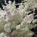 뉴 | 서울 웨딩홀투어 더뉴컨벤션웨딩 2층 더뉴홀 후기