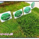 장성잔디생산자영농법인 이미지