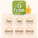 러블 코숏 ANF6FREE 인도어 캣 웨이트케어 고양이 건사료 후기
