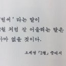 토마토 생각