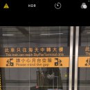 홍콩의밤