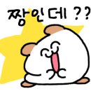 돈카츠모 네이버블로그