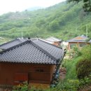 섬진다원 이미지