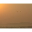 안성농장 이미지