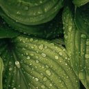 Double 휘트니스 클럽 이미지