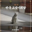 9월9일은 한국고양이의 날 이미지