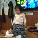 순종철판동태찜 이미지