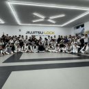 주짓수락 이미지