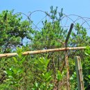 송정환경 이미지