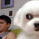 건원대로34번길 이미지