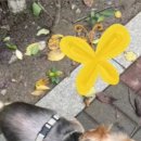 신천동물병원 이미지